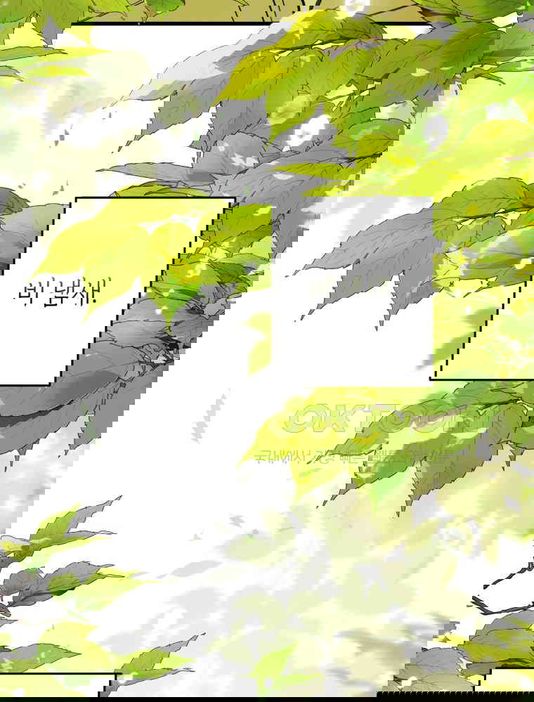 1730244023193eorr55aswrh.jpg