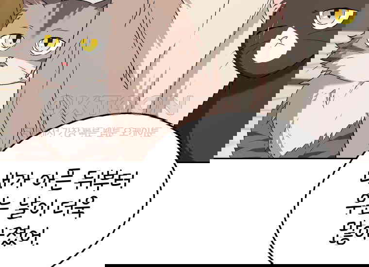 1730362823189wa47q3am4xi.jpg