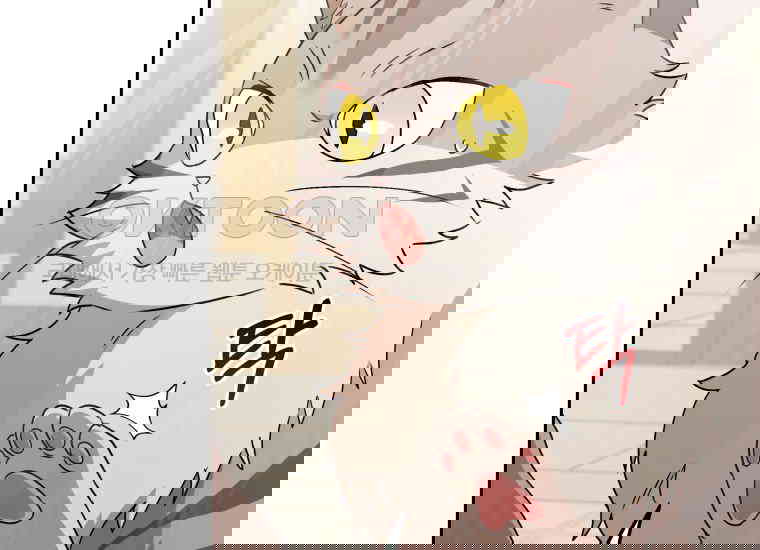 173036283266525fmgr2es61.jpg