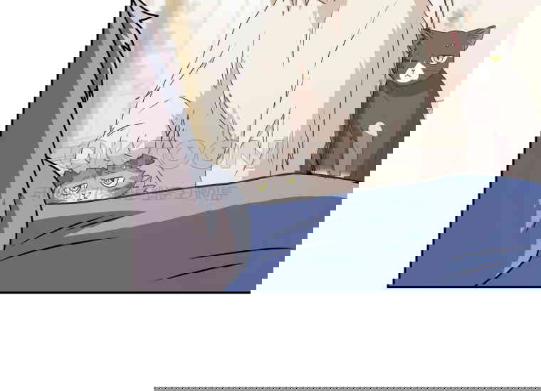 1730362836260spwjw6ati3p.jpg