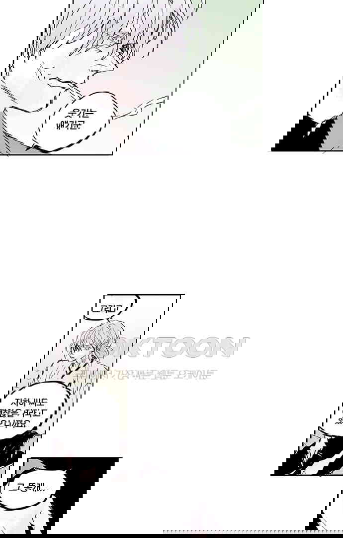 1730332960557cemmmf38md.jpg