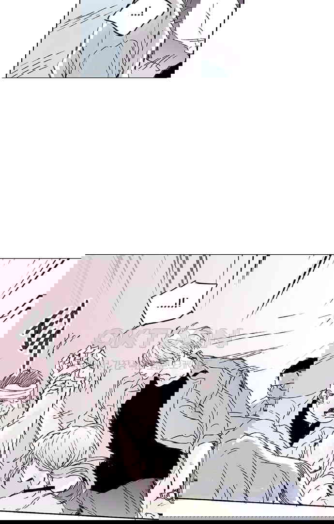 17303329709295aeerjy1igp.jpg