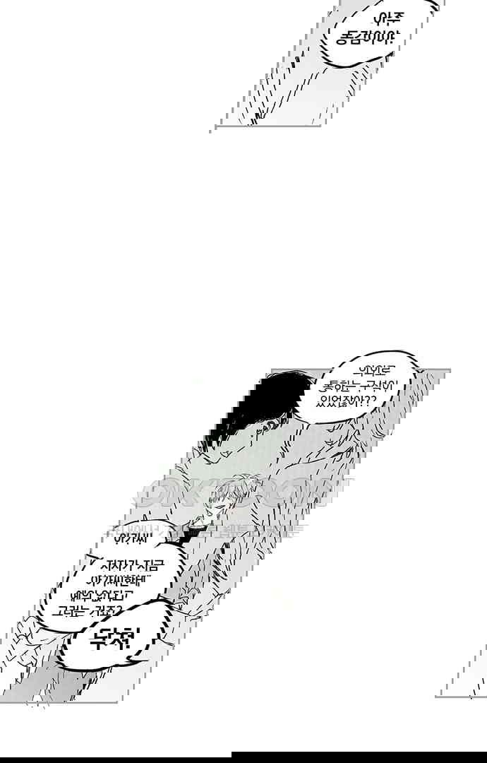 17303329940119wopye6un9e.jpg