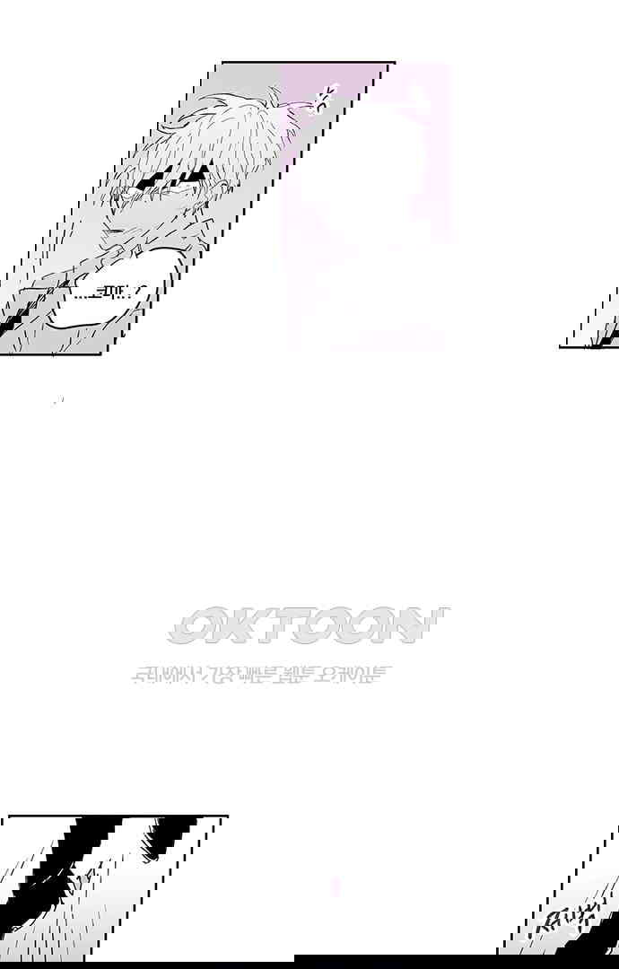 17303339885238ch9hh2bze3.jpg