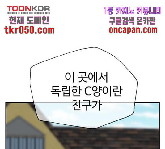 1731211044344klhrdnephkf.jpg