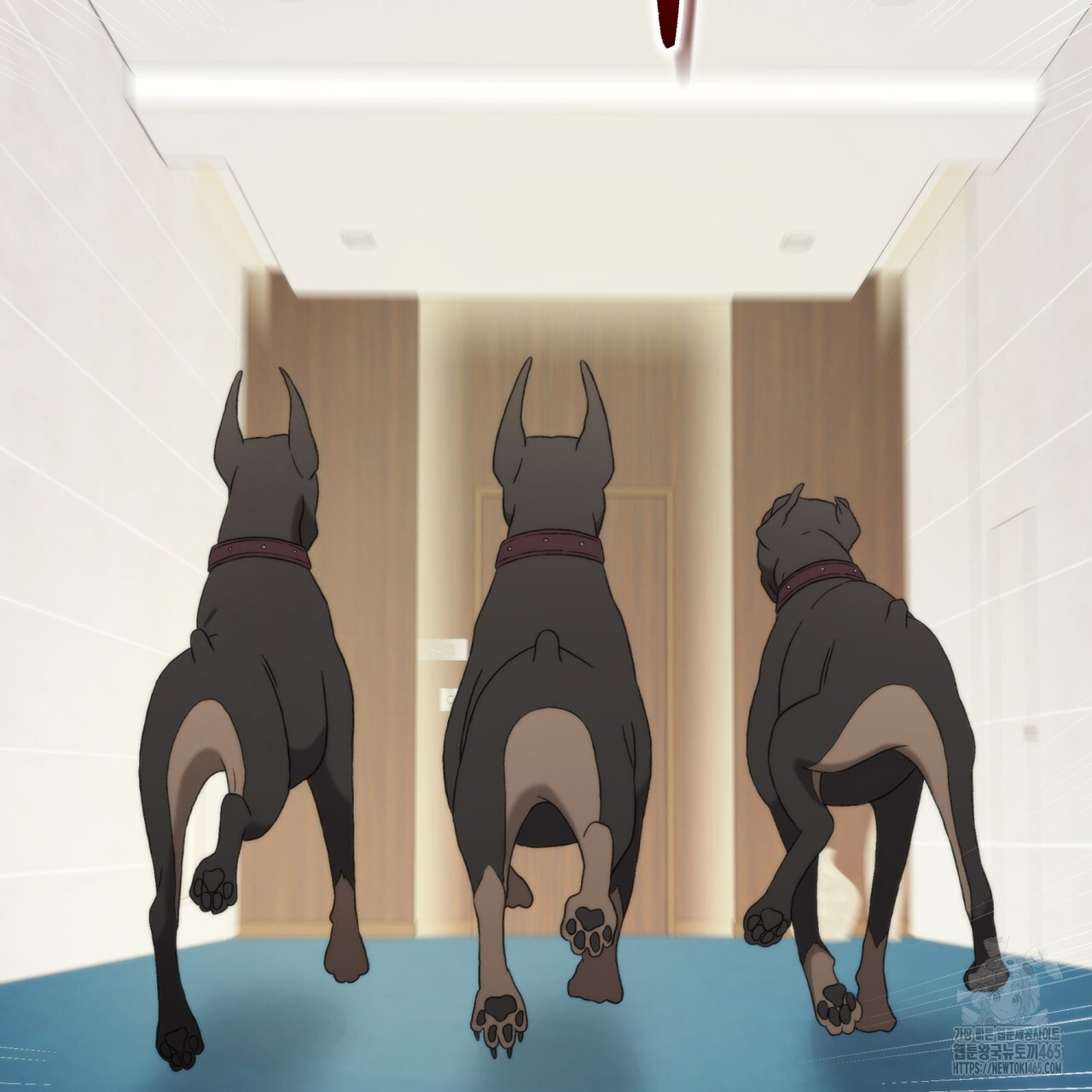 1731475857205h2vkeyolf67.jpg