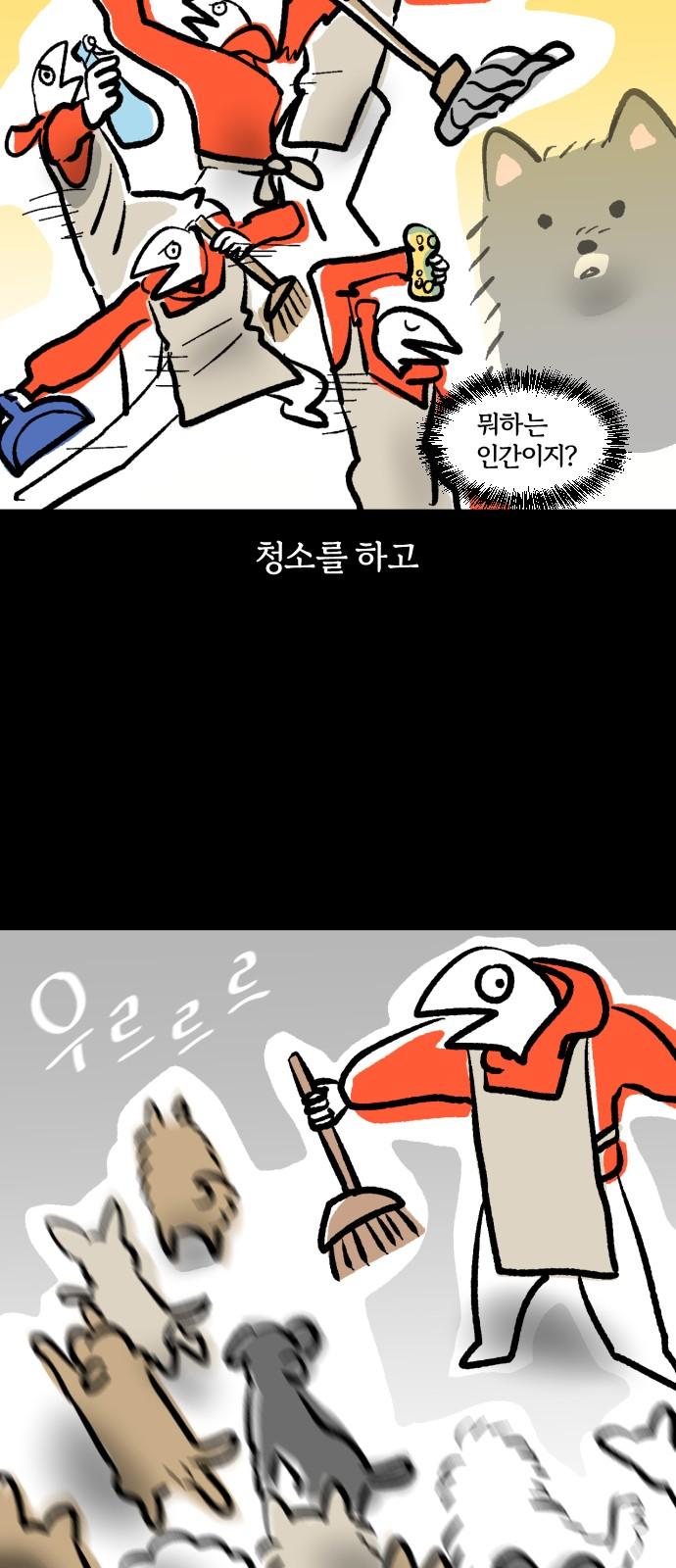 17316239126032bqcp0t87od.jpg