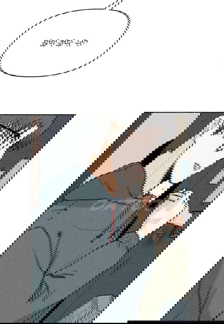 1730556217961841puo8izfm.jpg