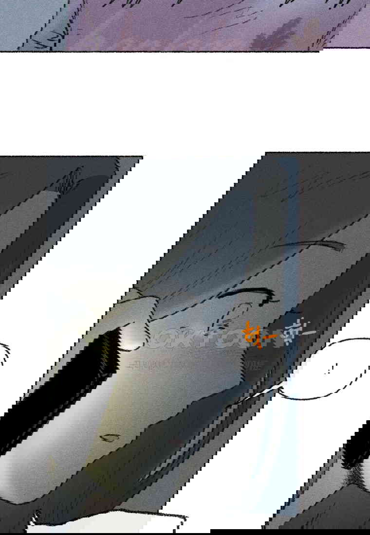 17305564163739u5wcqecwyl.jpg