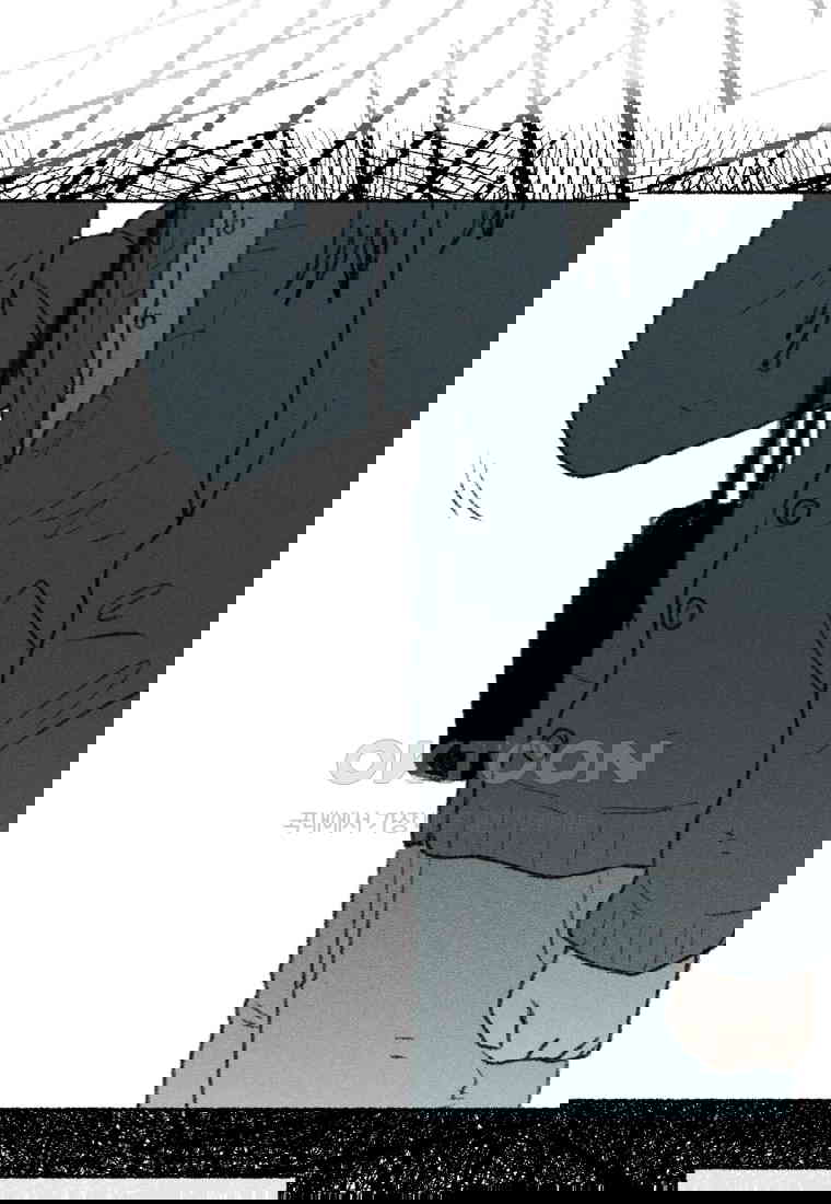 1730556421358ccnv7n7b1l8.jpg