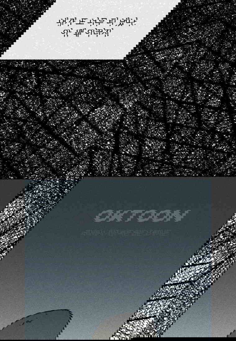 17305564215130uep9ev2fhu.jpg