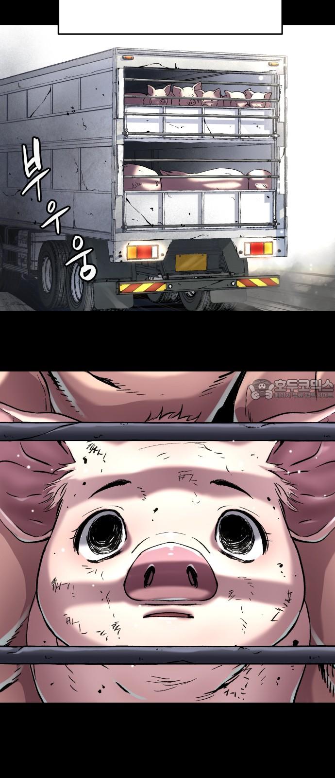 173239845428423rp40k02yk.jpg