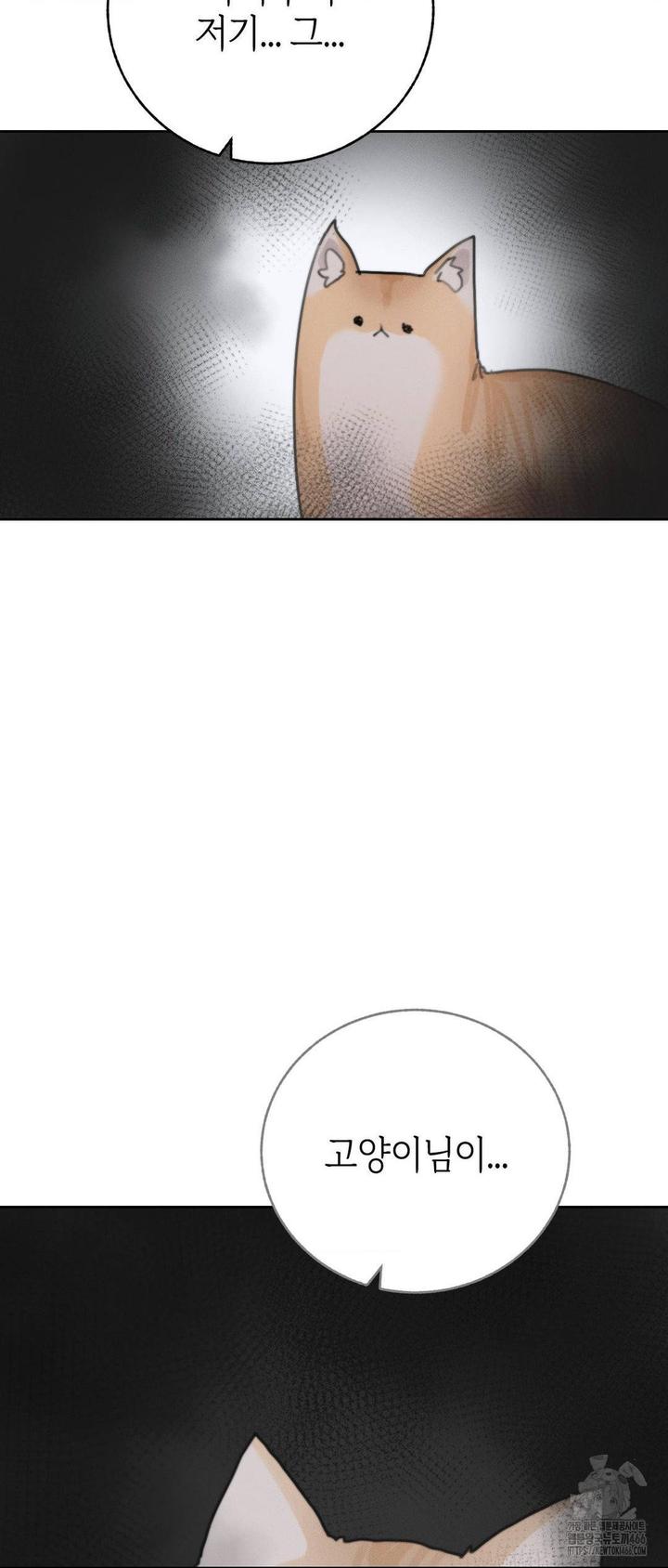 1732742861256zimmu0n2utp.jpg