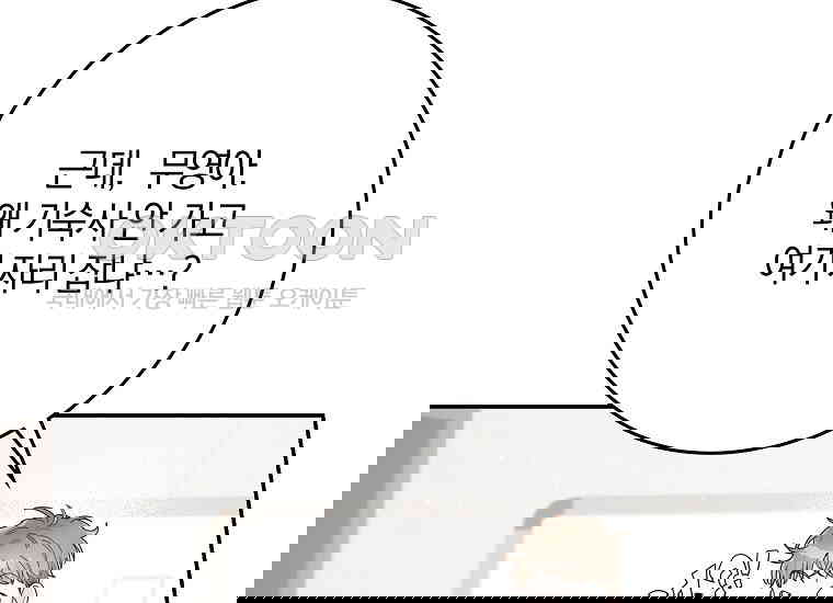 17305903878174pvdtzr0ib.jpg