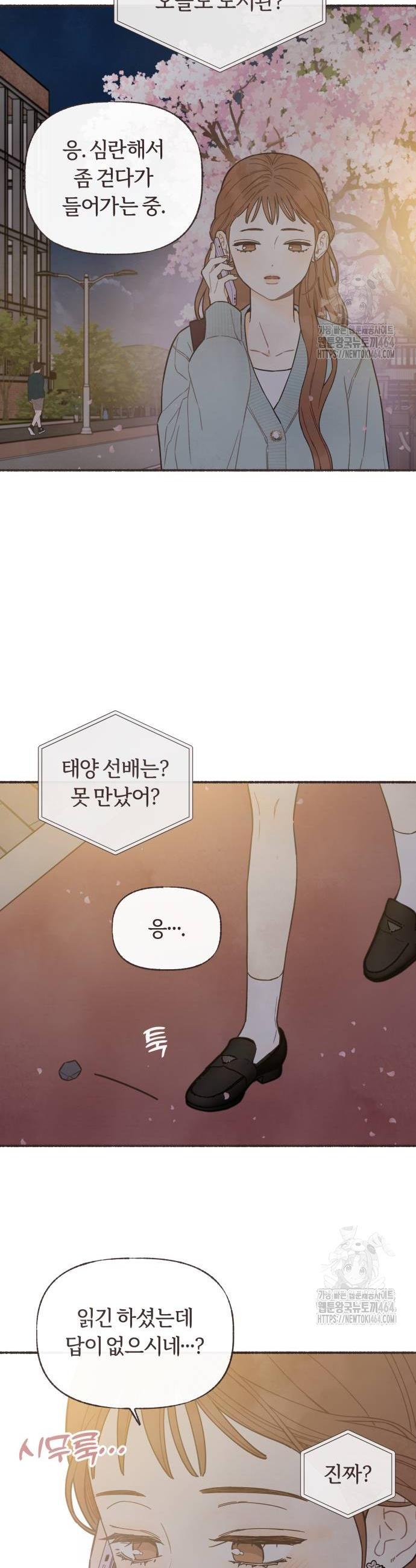 1730590530727sgcrab3d67.jpg