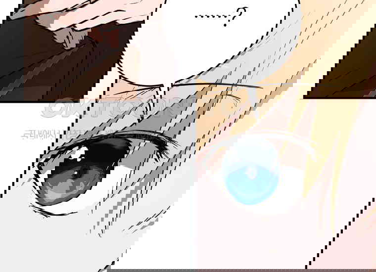 17306533531163poq412auol.jpg