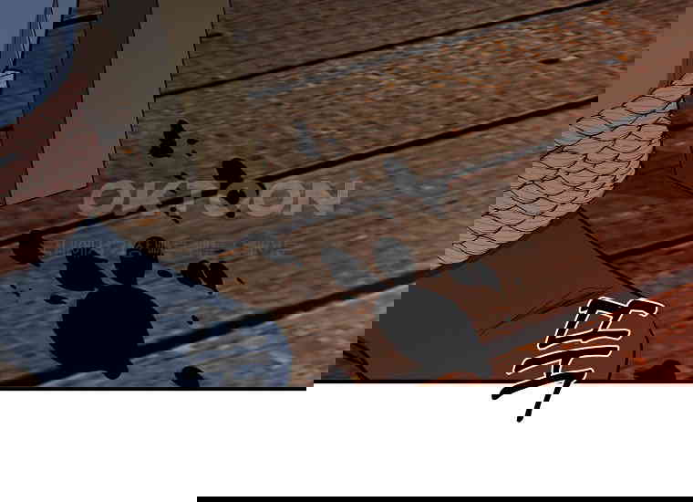 1730653383646g4jokxegmop.jpg