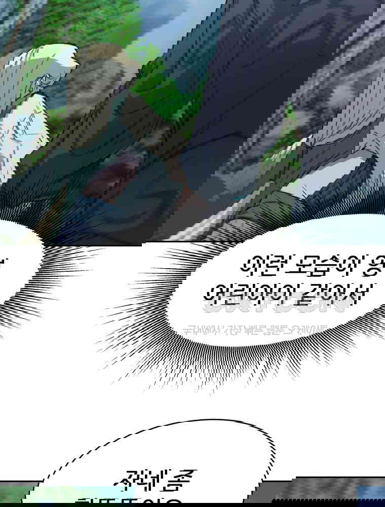17307478810684kza2bsjp0u.jpg