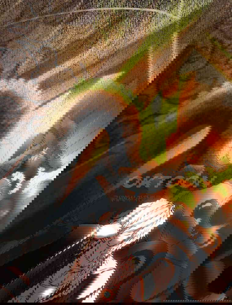 1730747900839xowz4irnivf.jpg