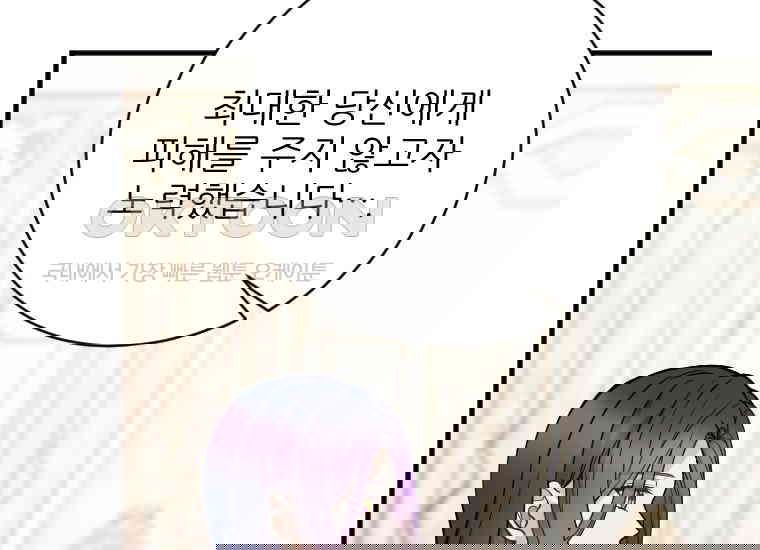 17308434293434hz4y5xyple.jpg