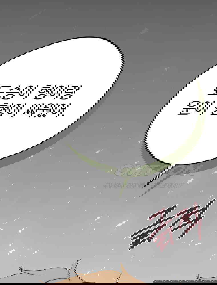 17308434724071rlr4msrbnn.jpg