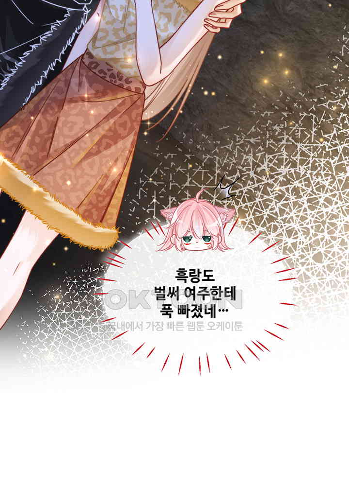 17309482284191sgxhz2aryl.jpg