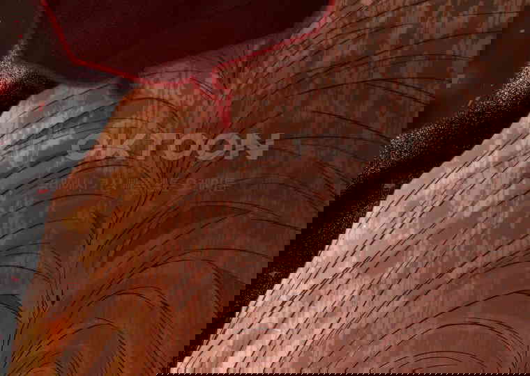 17310376458585pn5j8c5xei.jpg