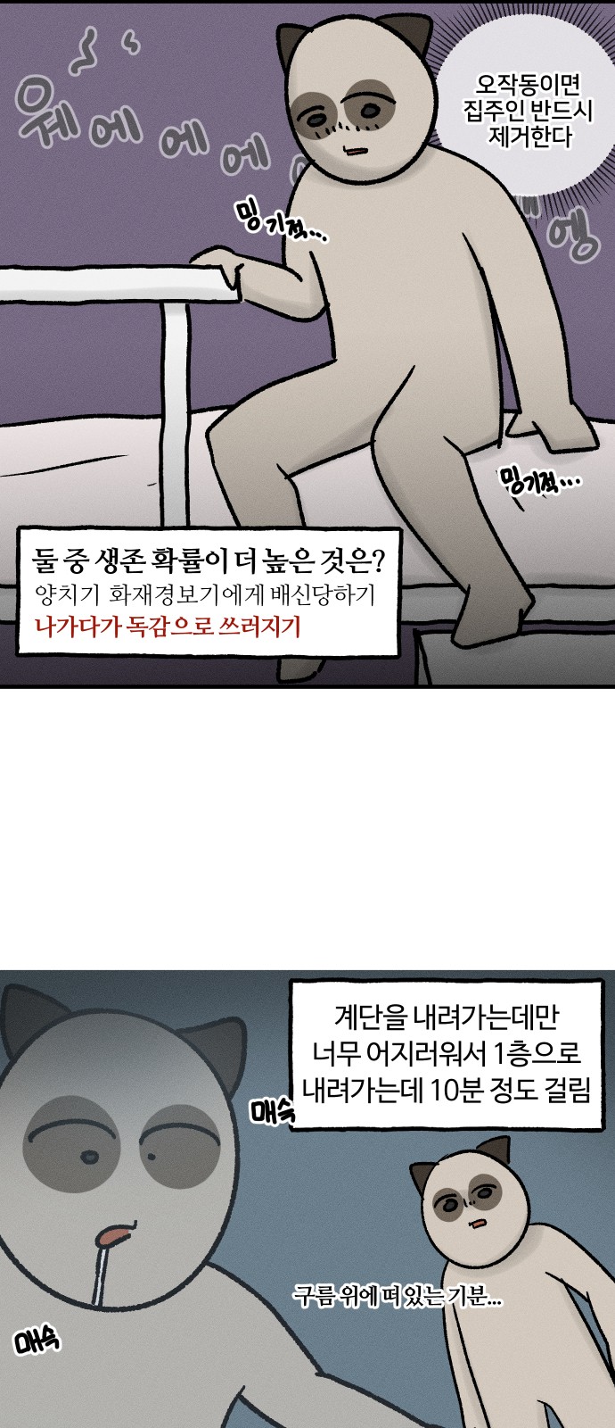 1731035615628c5sihwo925d.jpg