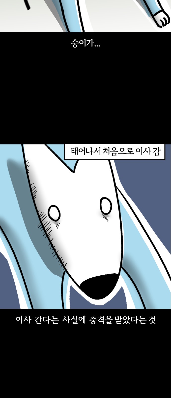 1731014602159lo15e8zhkqh.jpg