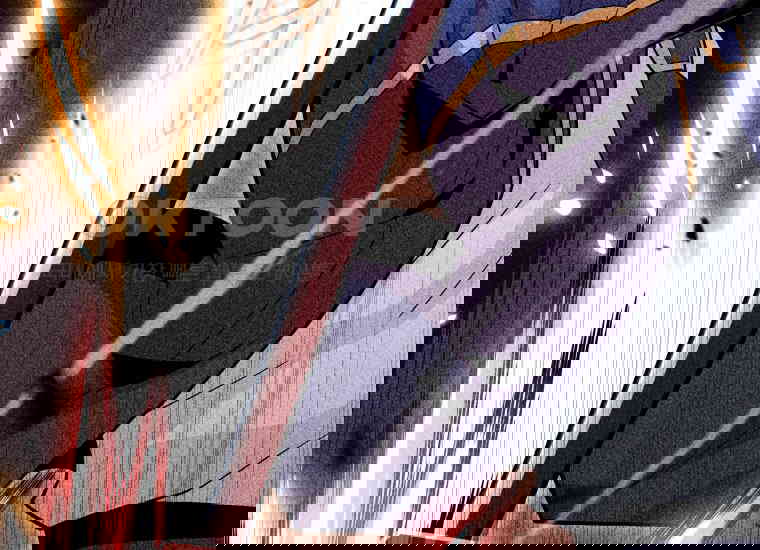 1731016959417va92k0i6vp.jpg