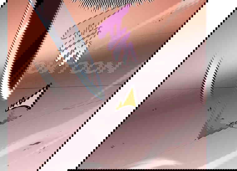 1731016967422z2dlasm8n6d.jpg