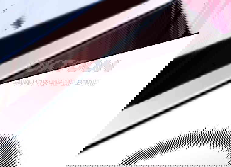 1731017002627qazxwjplmh.jpg