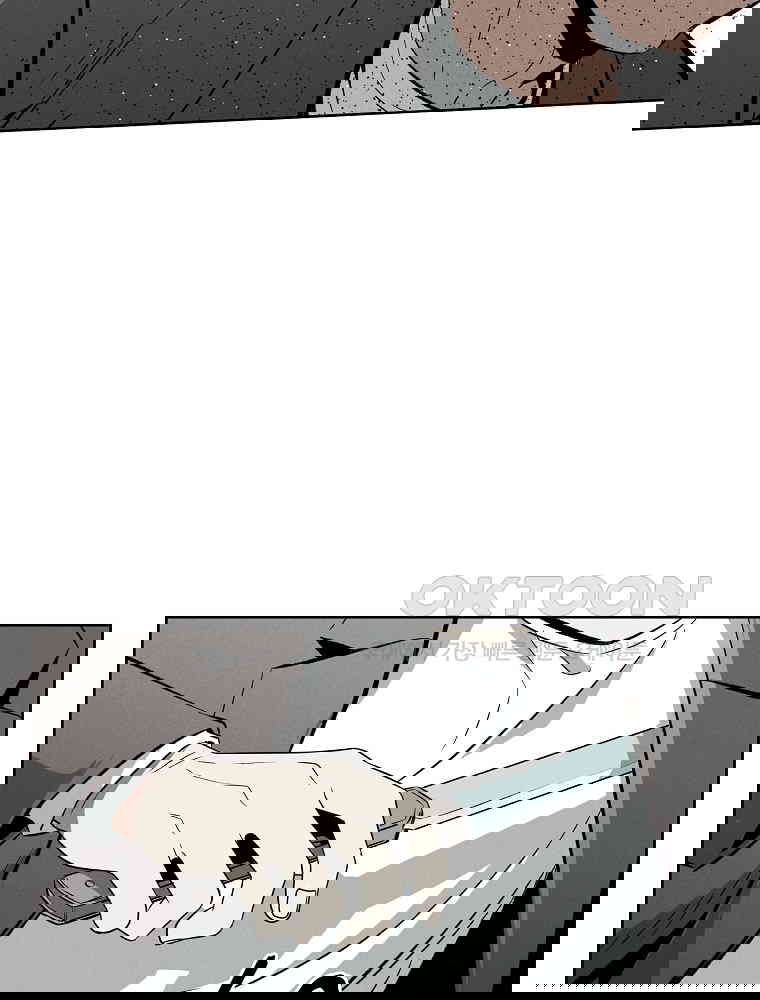1731013483410y7kfiu1okz.jpg
