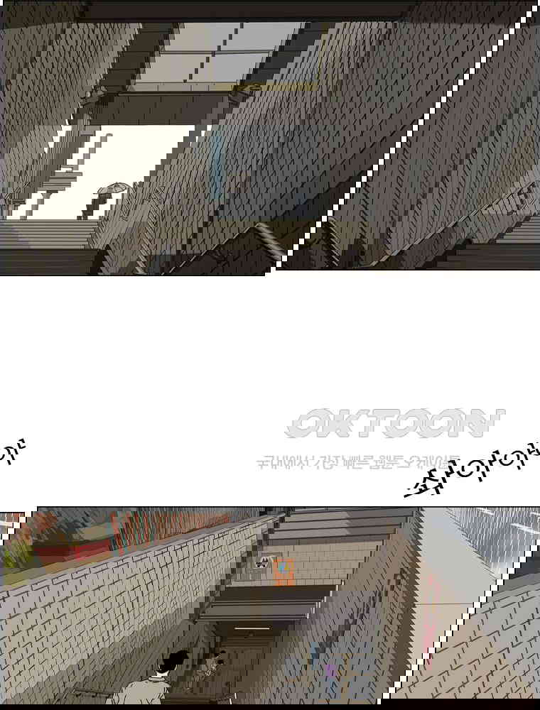17311004105786eweu285rys.jpg