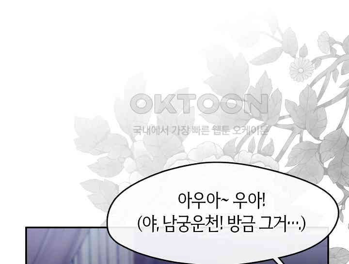 1731152026106xt040nowgok.jpg