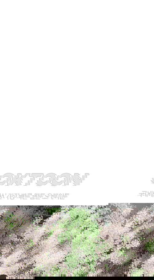1731148088464uj2p1065ign.jpg