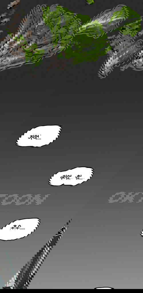 1731148089848m12jyfzkir.jpg