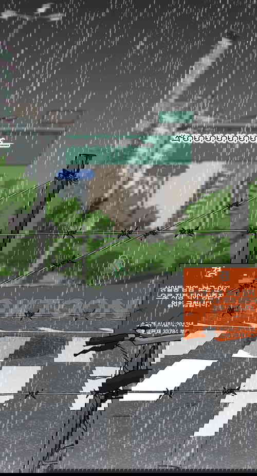 1731148107722d7mfycbm36b.jpg