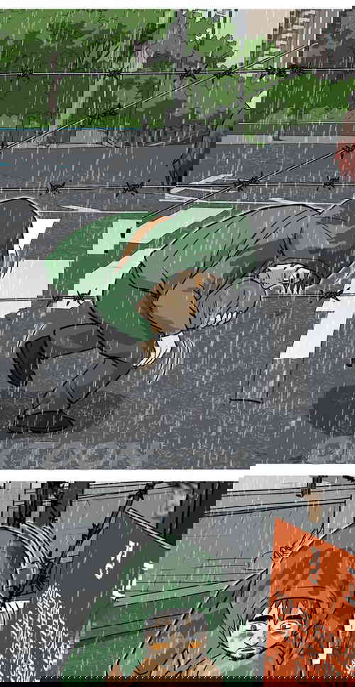 1731148111589xq4w2b3yne.jpg
