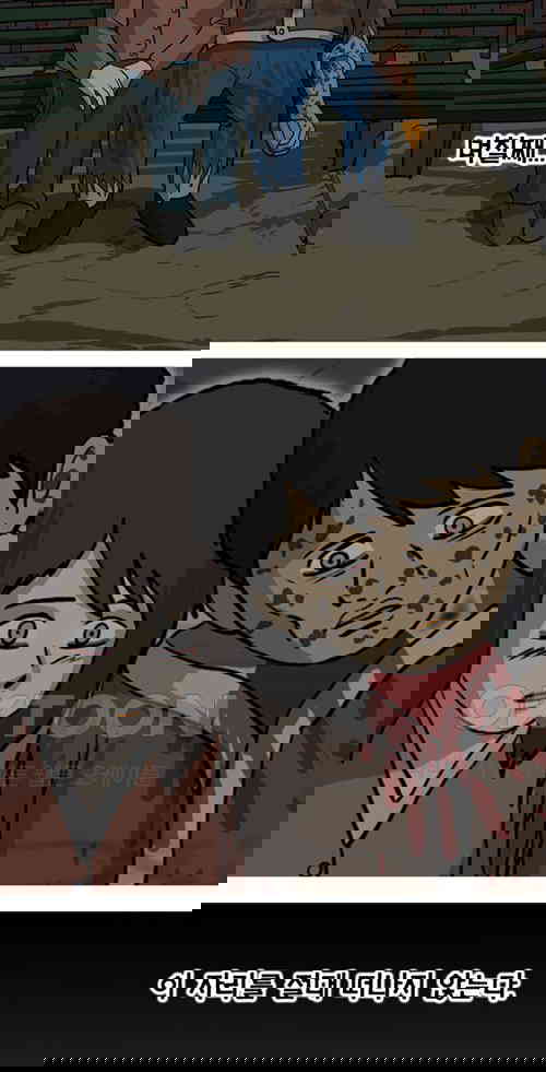 17311481349484566mzb00vn.jpg
