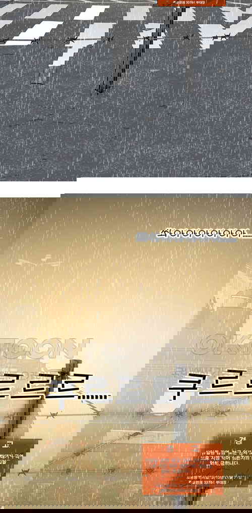 1731148158434o6cy62of8ce.jpg