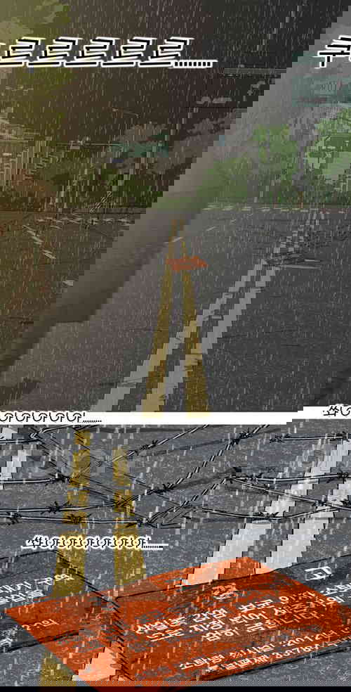 1731148158897up9jqxwbewh.jpg