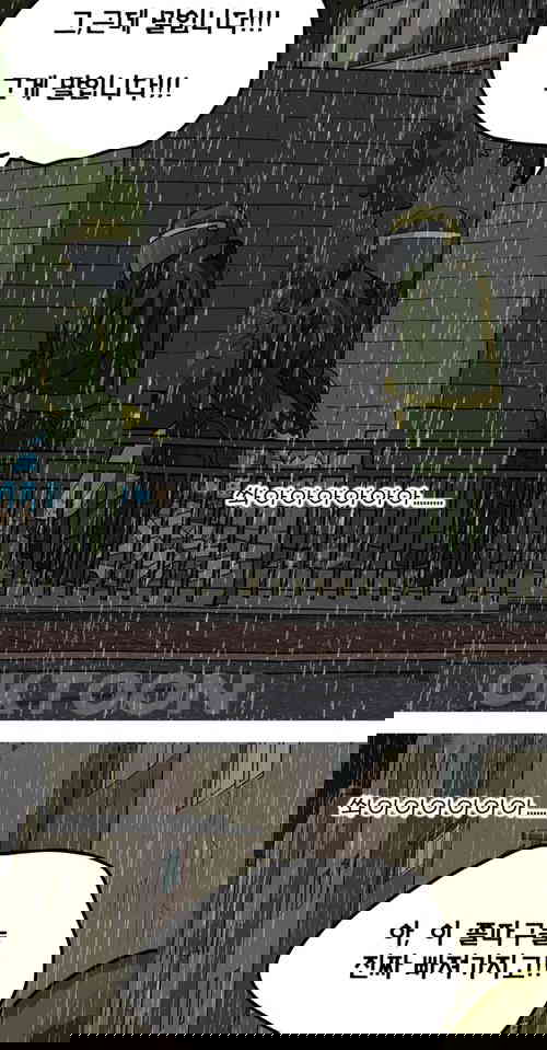 1731148166355nzk7l8xkip.jpg