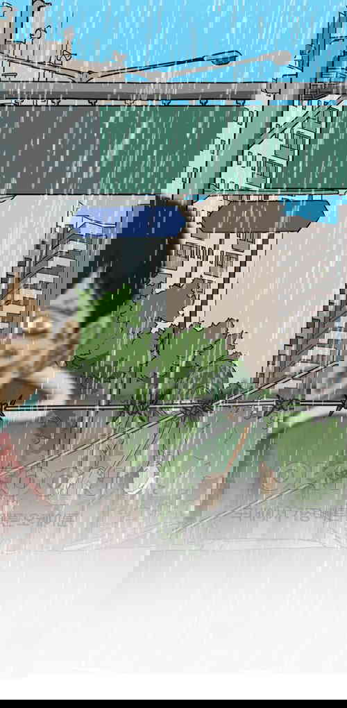 1731148264228opdctdndy8d.jpg