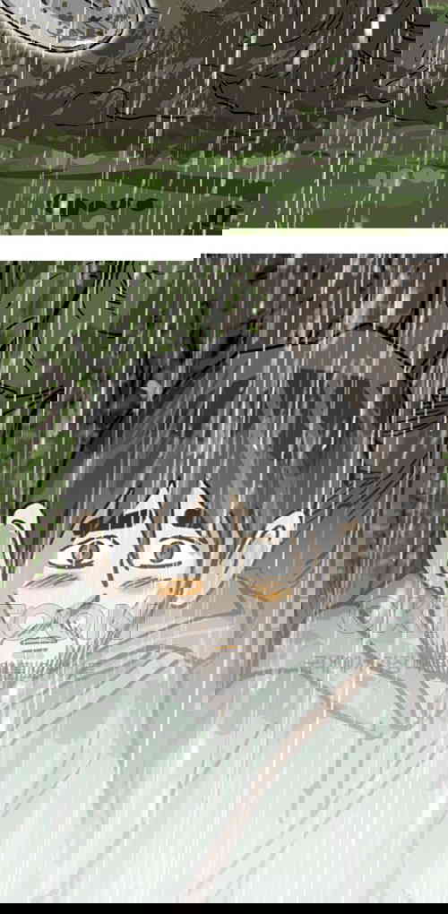 1731148267530o6rfzc22f5o.jpg