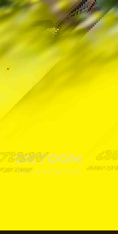 1731148292917gtn140mri0d.jpg