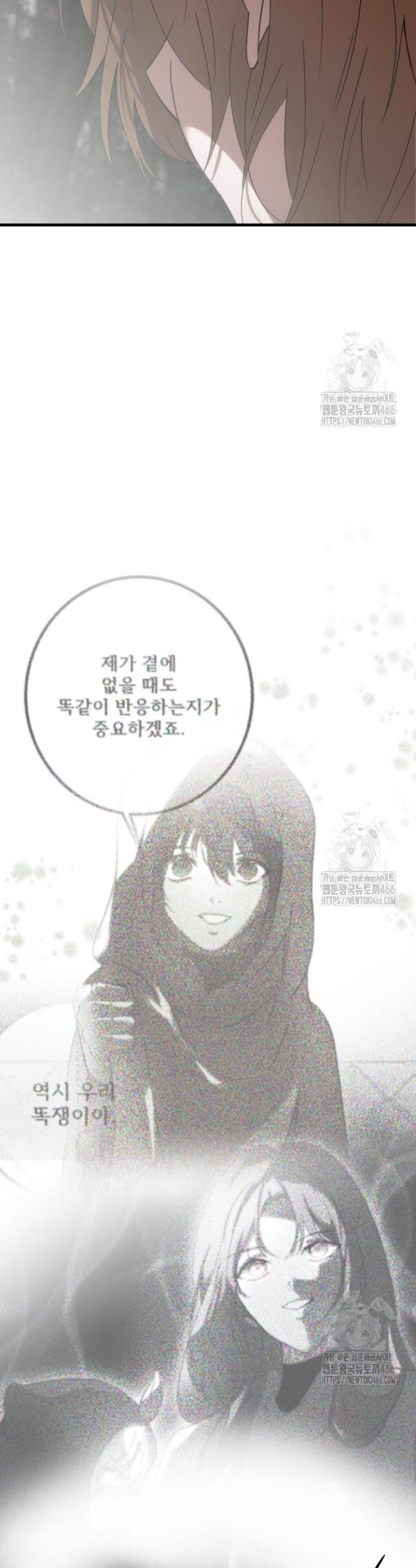 17337815166126sysapdyuuu.jpg