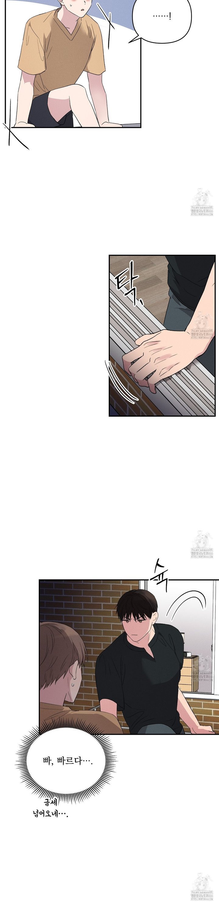 1734006237761bwdphtvybnl.jpg