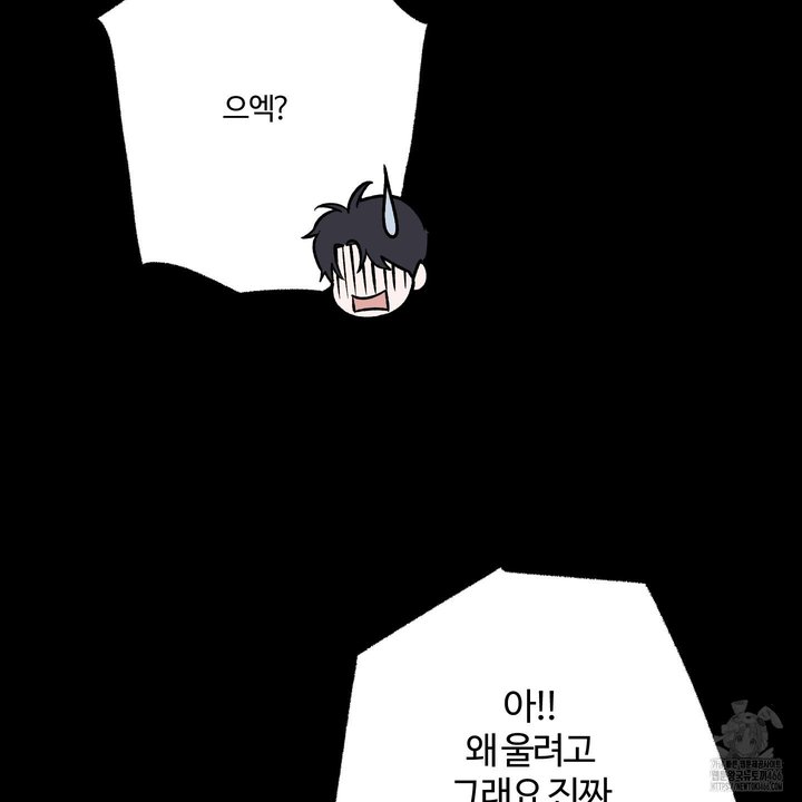 1734006402022prib3nv0mnh.jpg