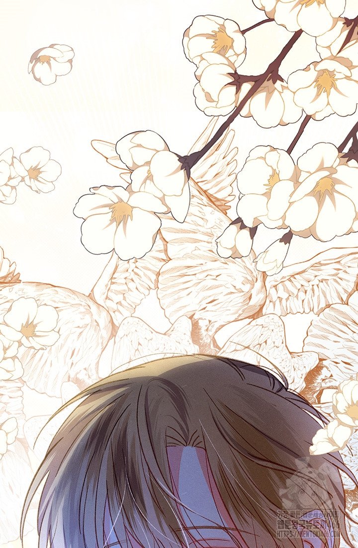 1734154401190695awurio7c.jpg